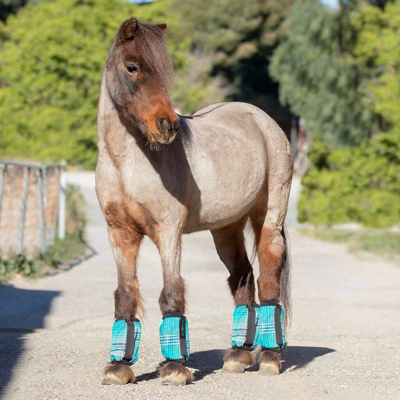 Kensington Pony Bubble Fly Boots - Set of Four