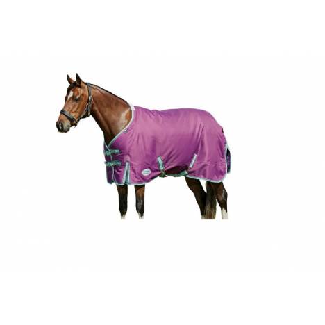 Weatherbeeta ComFiTec Premier Freedom Pony Standard Neck Medium Turnout