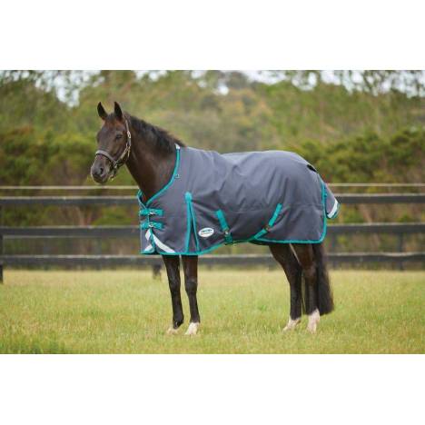 Weatherbeeta ComFiTec Plus Dynamic II Standard Neck Medium Turnout