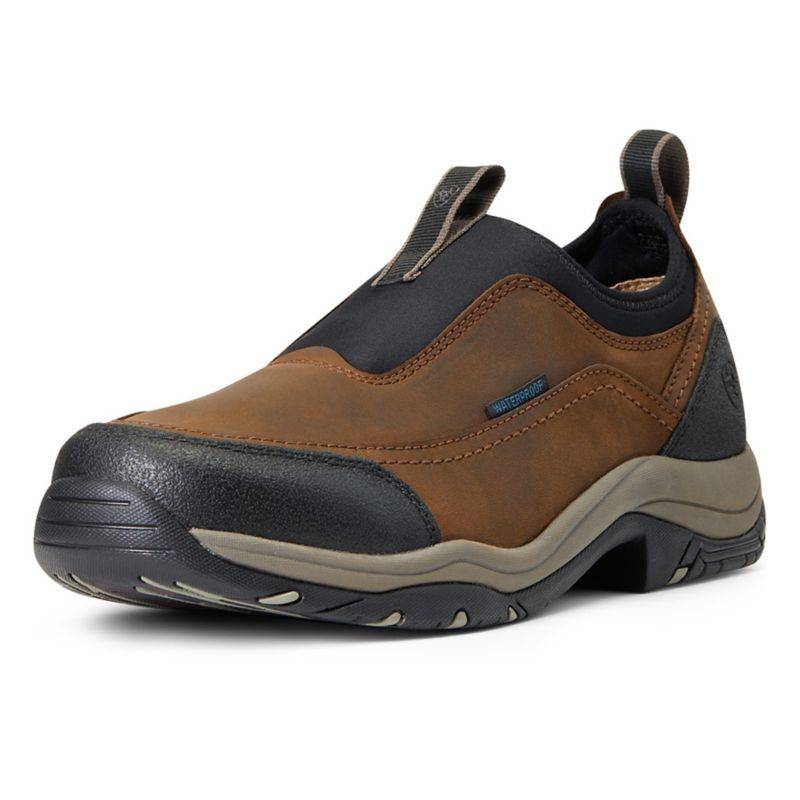 Ariat Mens Terrain Ease H2O Shoes 10 D Brown