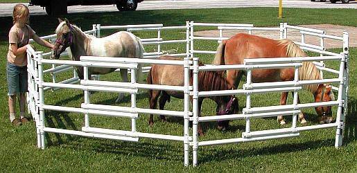 Carri-Lite Portable Mini Corral
