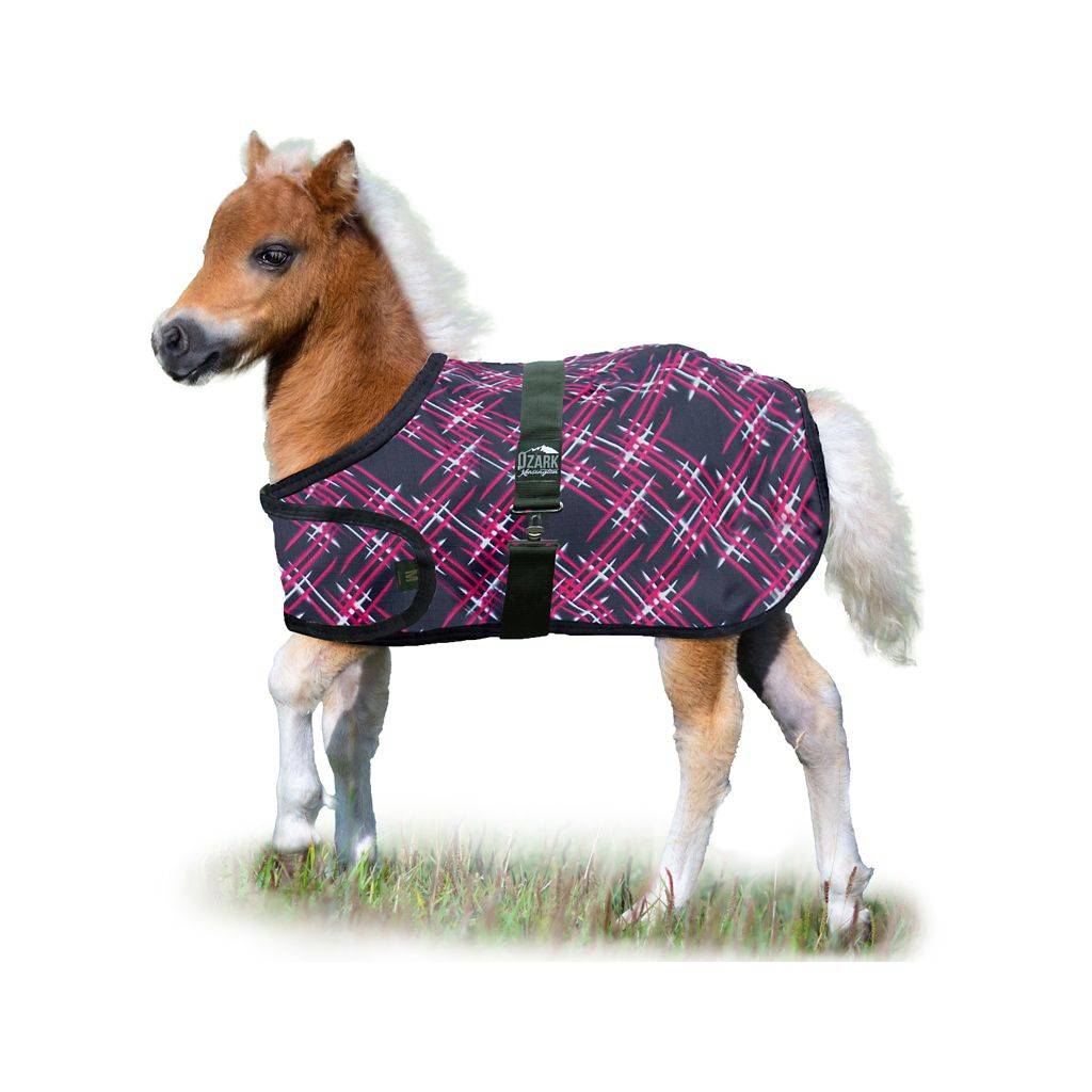 Ozark Mini Adjustable Foal Blanket