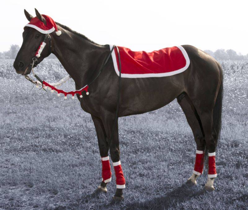 Western Santa 5-Piece Set from Tough1