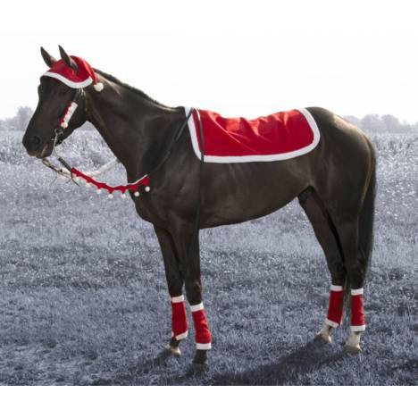 Western Santa 5-Piece Set from Tough1