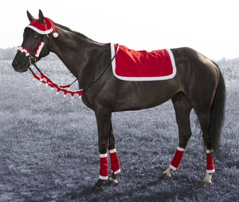 English Santa 5-Piece Set from Tough1