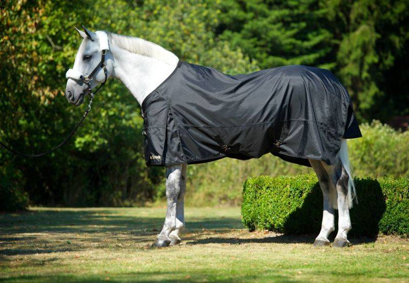 Back on Track Therapeutic Turnout Sheet