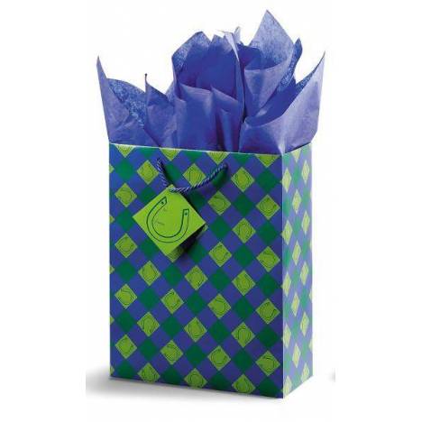 Gift Corral Lucky You! Vertical Vogue Gift Bag - Blue/Green