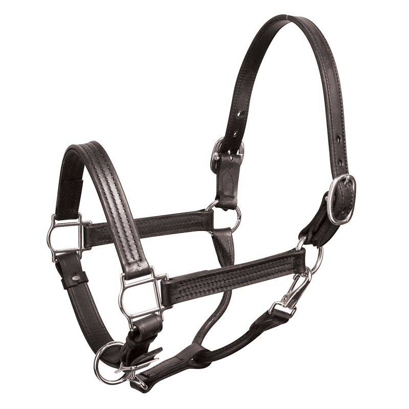 Perri's Premium 1" Leather Show Halter