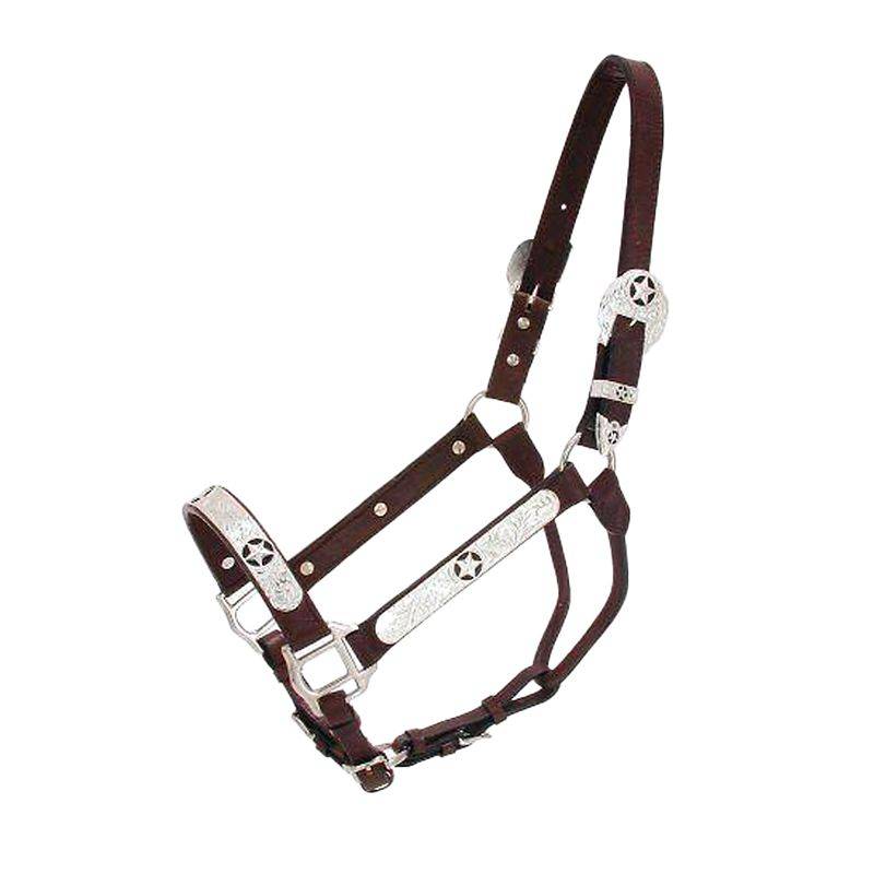 Royal King Black Star Silver Show Halter