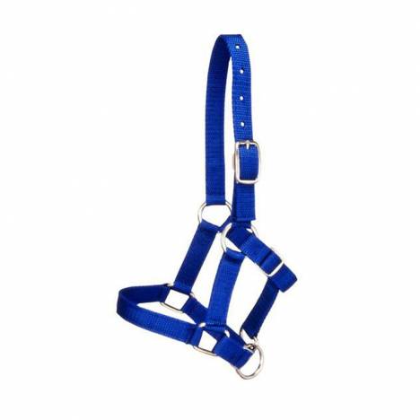 Tough-1 Miniature Halter 12 Pack