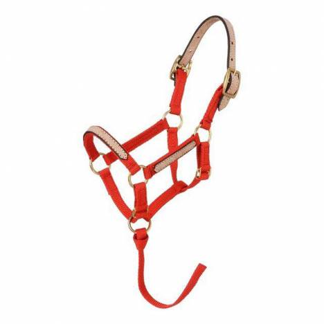 Tough-1 Miniature Nylon Breakaway Halters - 6 Pack