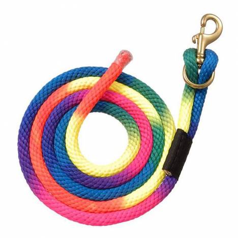 Tough1 Rainbow Lead Bolt Snap