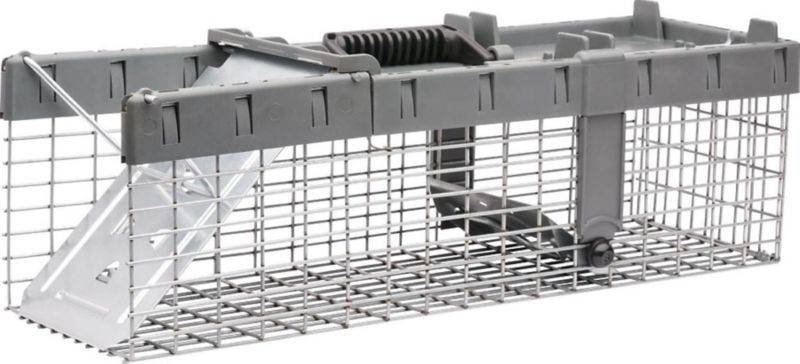 Havahart 1-Door Extra Small Animal Trap