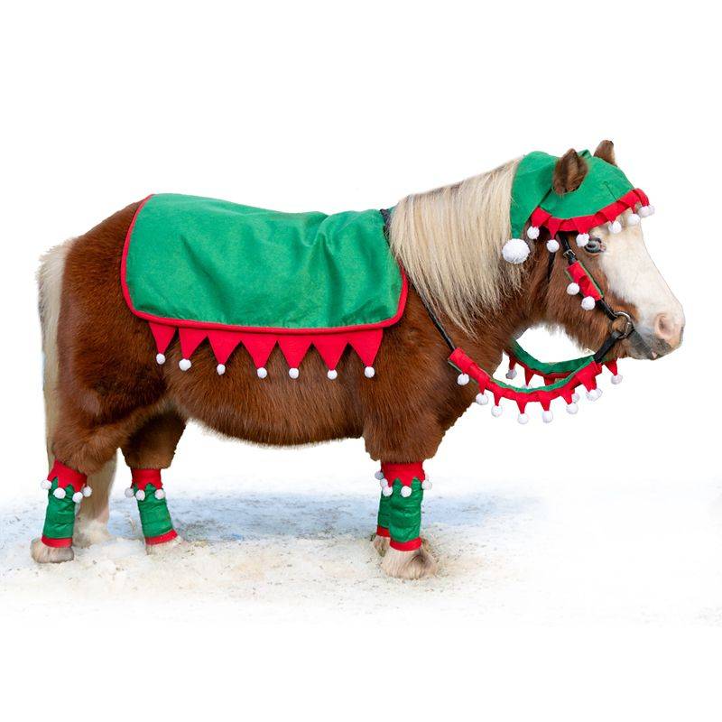 Tough1 Mini 5 Piece Western Elf Set