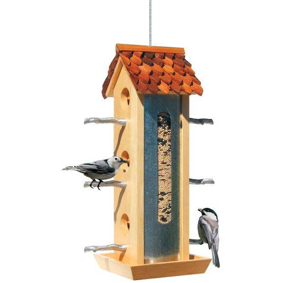 Tin Jay Wood Feeder For Birds