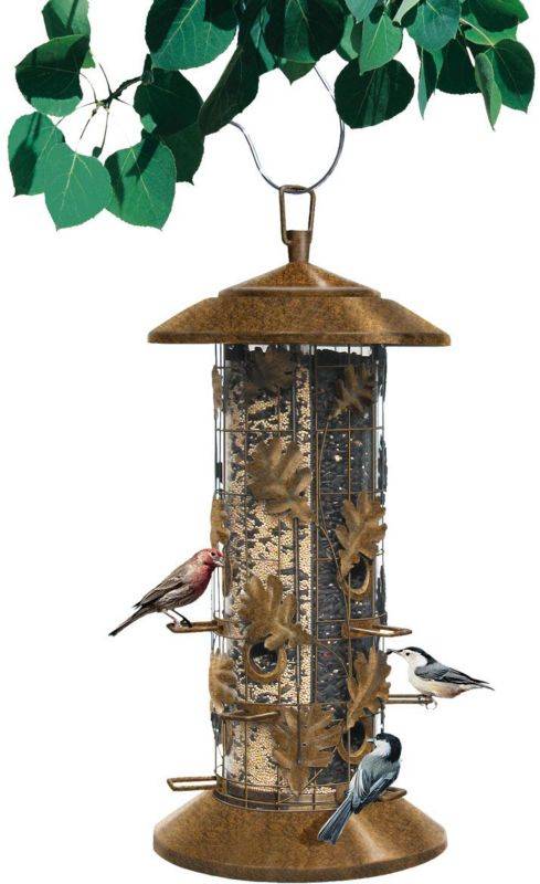 Squirrel-Be-Gone III Feeder For Birds