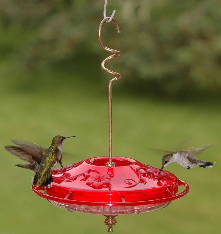 Hummzinger Fancy Hummingbird Feeder