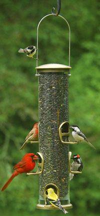 Aspects Quick-Clean Big Tube