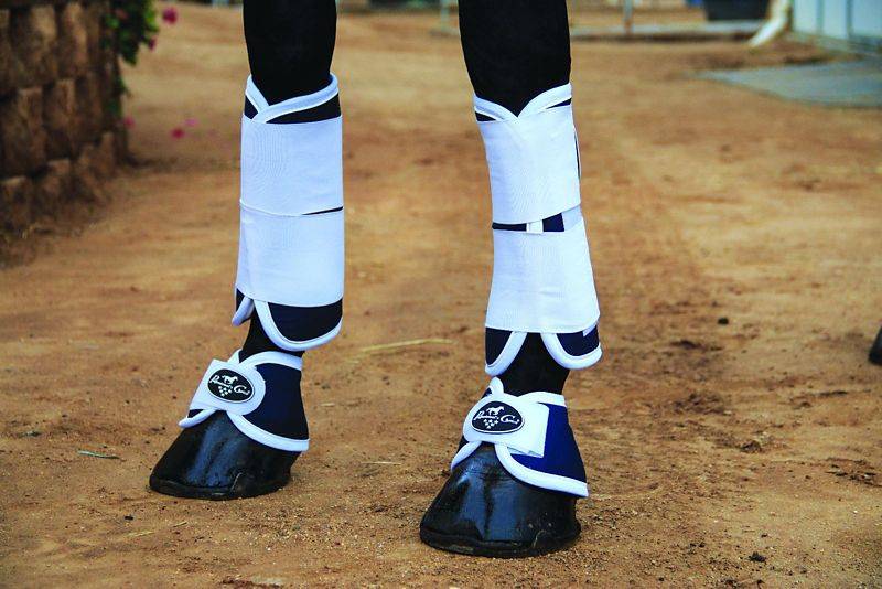 Professionals Choice Magnetic Bell Boot