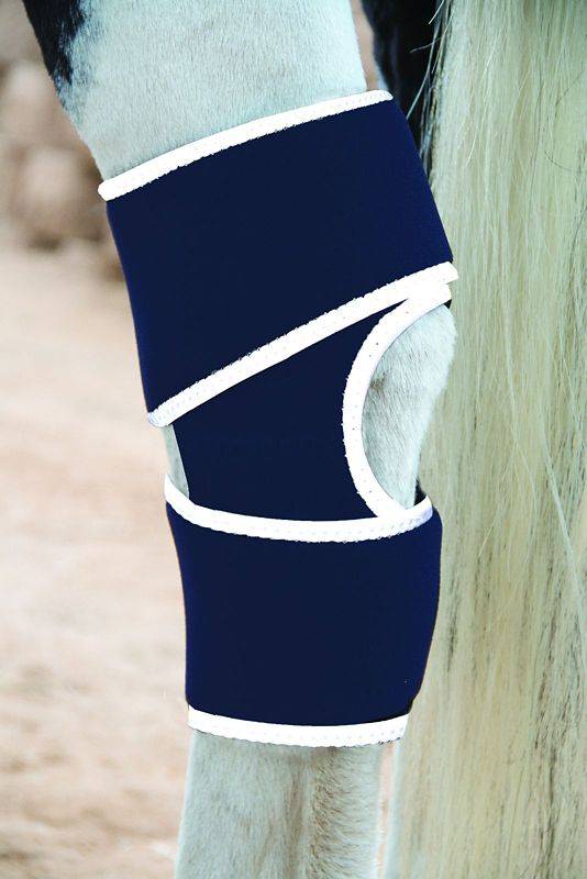 Professionals Choice Magnetic Hock Boot