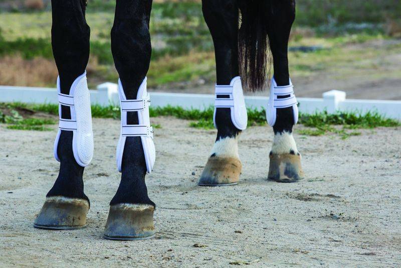 Professionals Choice Pro Performance Pro Mesh Show Jump Boot - Front - TPU