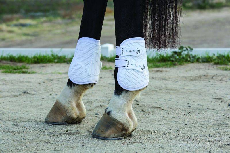 Professionals Choice Pro Performance Pro Mesh Show Jump Boot - Rear - TPU