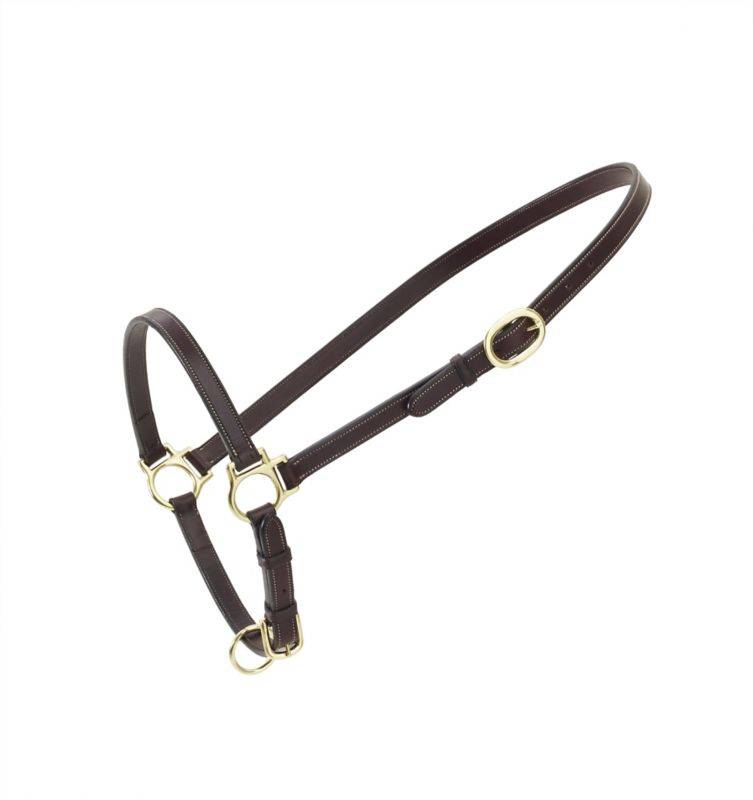 Ovation Leather Traditional Grooming Halter