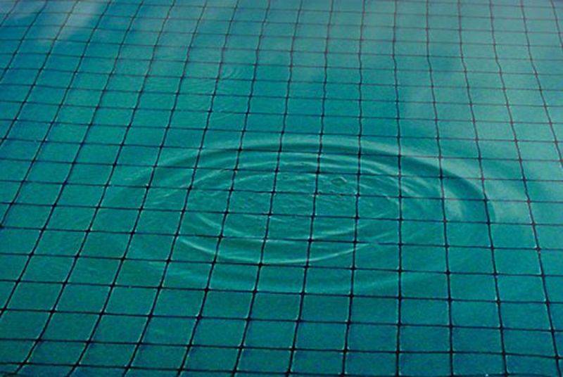 Dewitt 555939 28 x 28 in. Bird & Pond Netting, Black