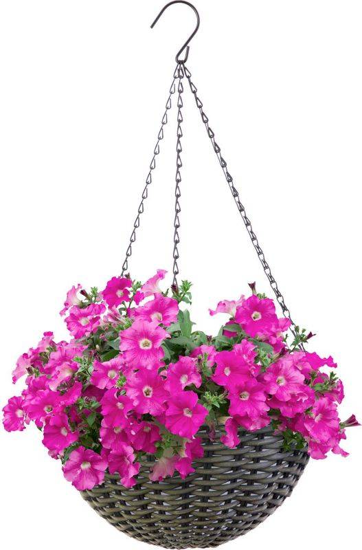 Resin Woven Hanging Basket