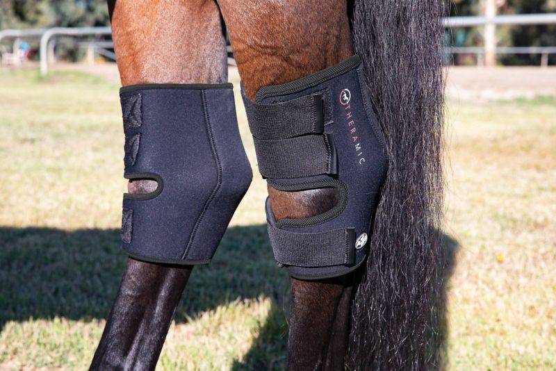 Professionals Choice Theramic Hock Boot