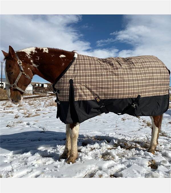 Baker Black Label 200G Medium Weight Turnout Blanket