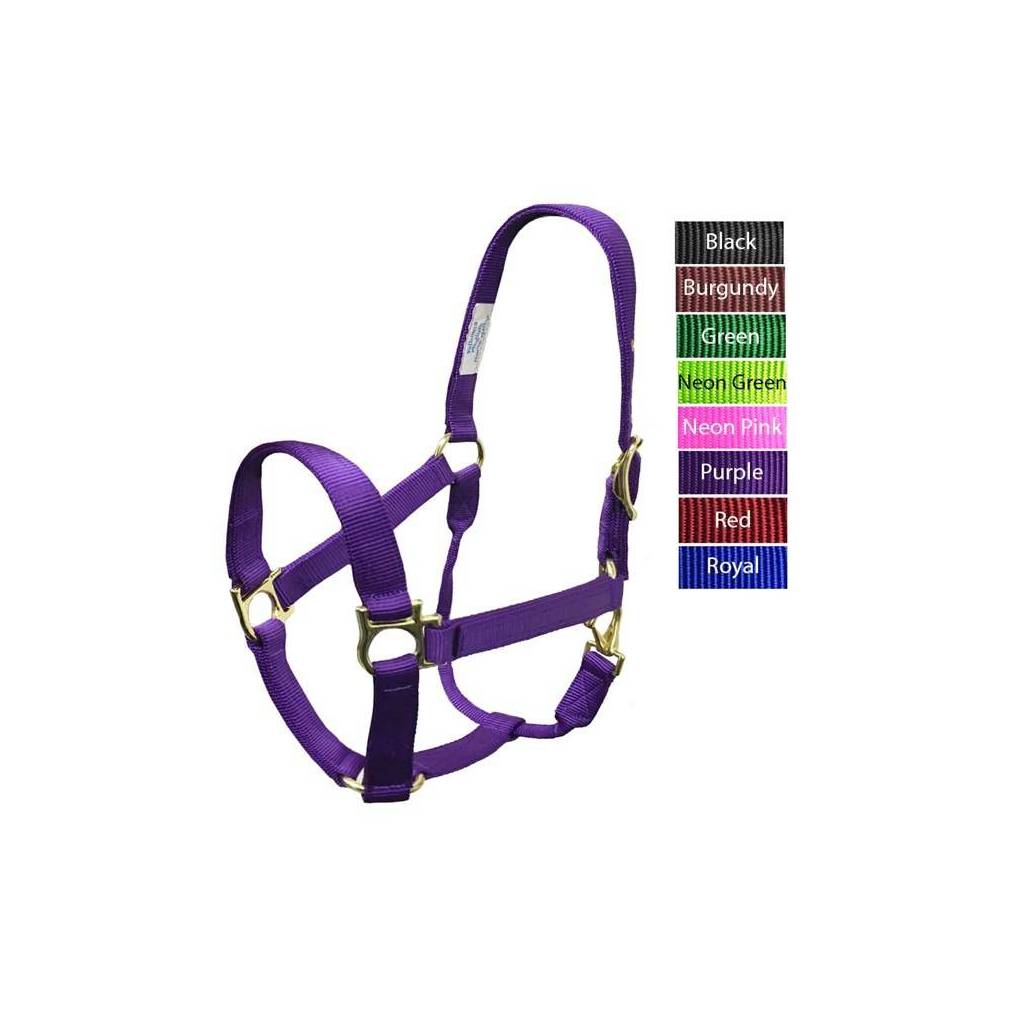 Valhoma QS Halter