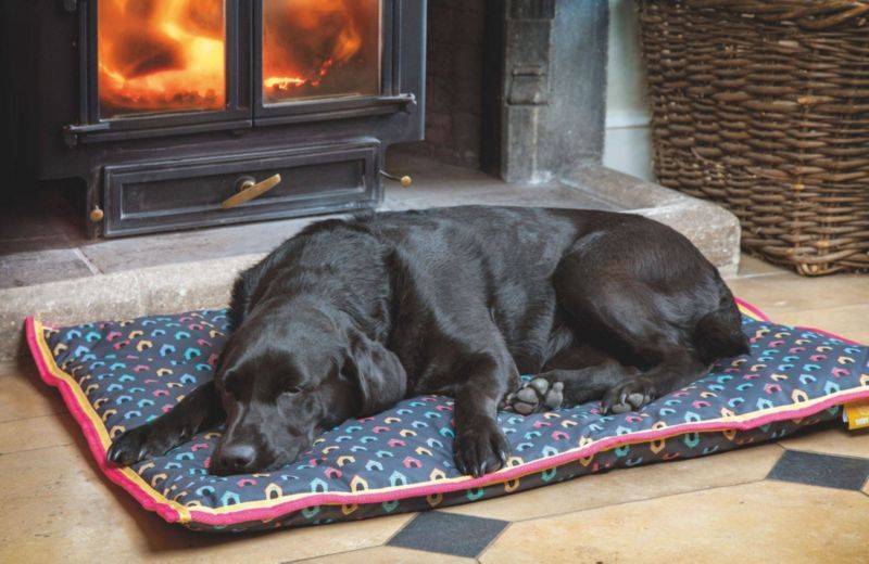 Shires Digby & Fox Waterproof Dog Bed - Dog House - 20" x 30"