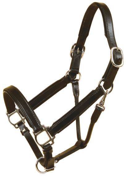 Tory Leather Bridle Leather Padded Halter with  Nickel Hardware