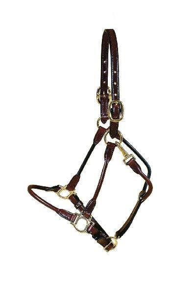 Tory Leather Arab Halter - Brass Hardware