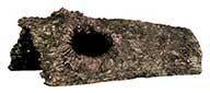 Bark Bends
