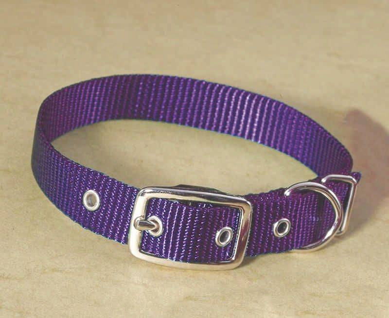 Single Nylon Dog Collar