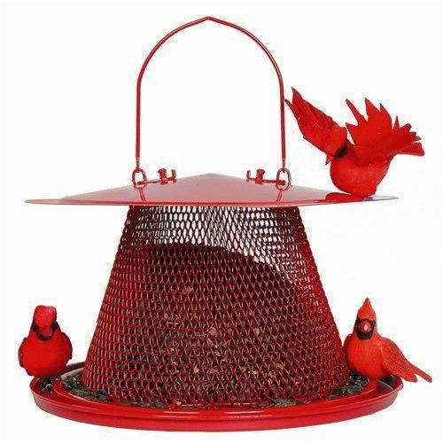 No/No Cardinal Feeder