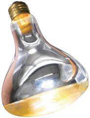 Repti Basking Spot Lamp For Reptiles