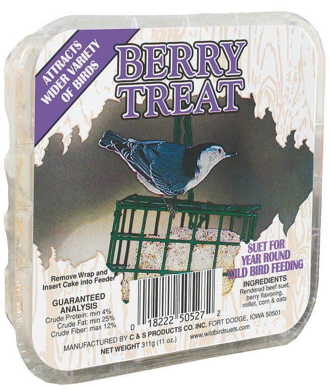 C&S C S Suet Treat Cake For Wild Birds Berry