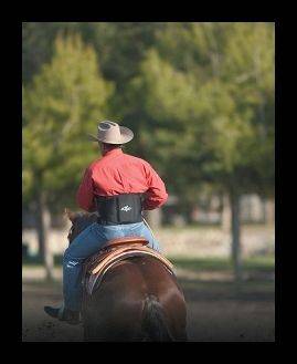 Professionals Choice Comfort-Fit Low Back Support