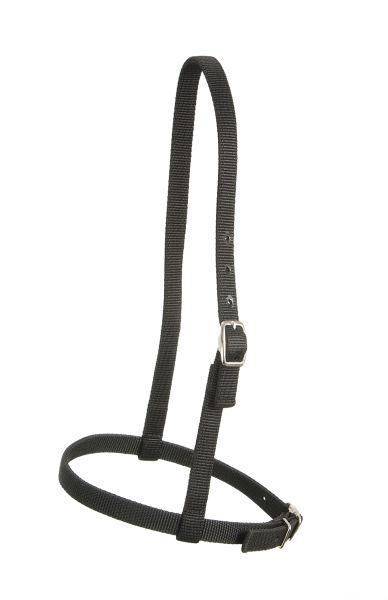 Royal King Nylon Caveson