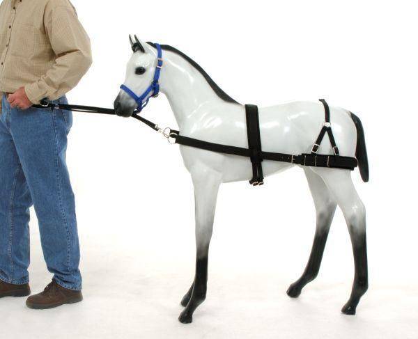 Tough1 Foal Training Device