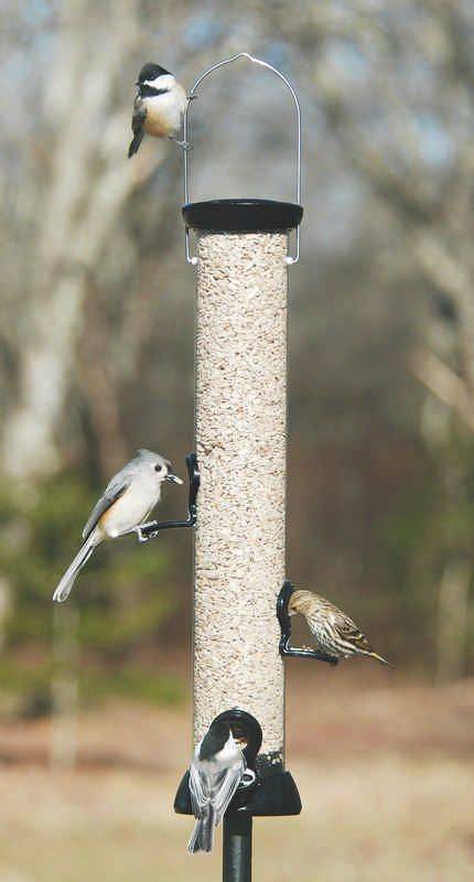 Onyx Clever Clean Sunflower feeder