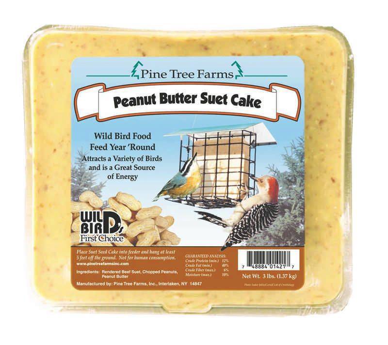 Peanut Butter Suet Cake