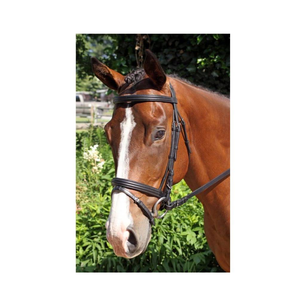 Nunn Finer Gifted Bridle