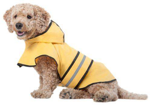 Outdoor Dog Rainy Days Slicker