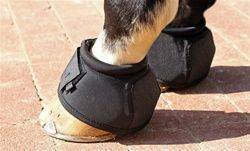 Nunn Finer American Style Bell Boots