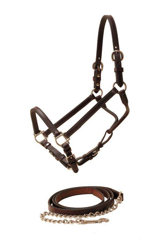 Tory Leather Show Halter & Chain Lead