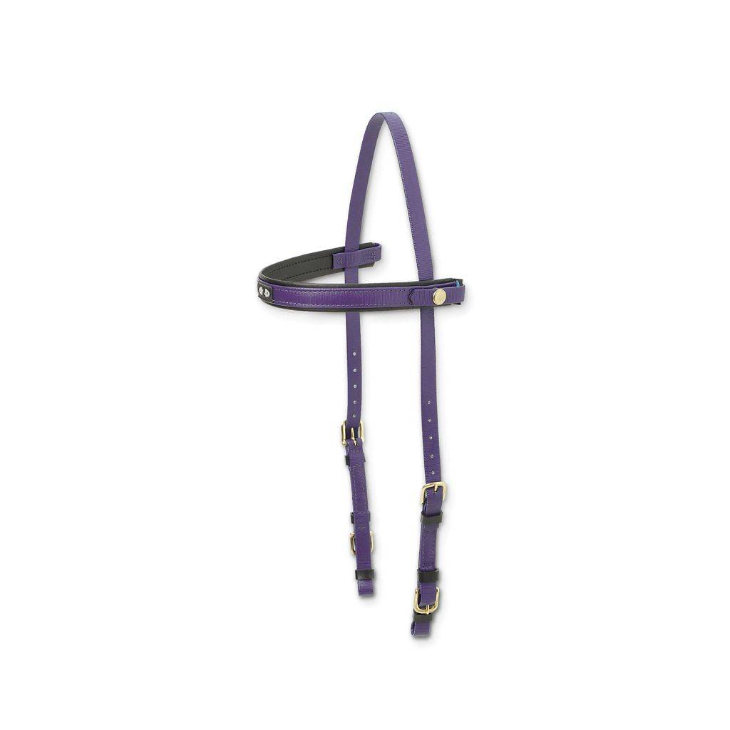 Zilco Deluxe Endurance Bridle - Headstall Only